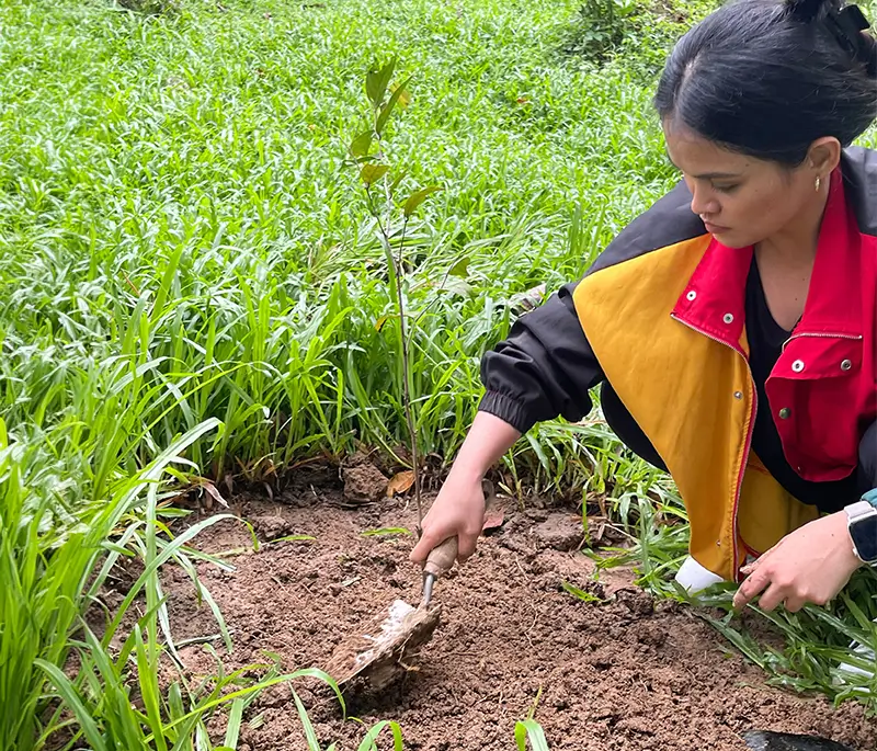 Philippines CAD 2024 planting trees 2 Automated Dreams